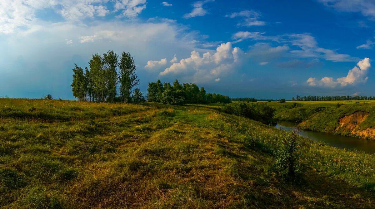 Калужские и тульские перелески. Лесостепи Черноземья. Центрально-Чернозёмный экономический район природа. Холмистая равнина Владимирской области. Луга среднерусской лесостепи.