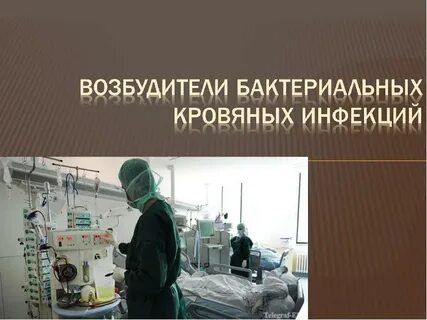 К кровяным инфекциям относится