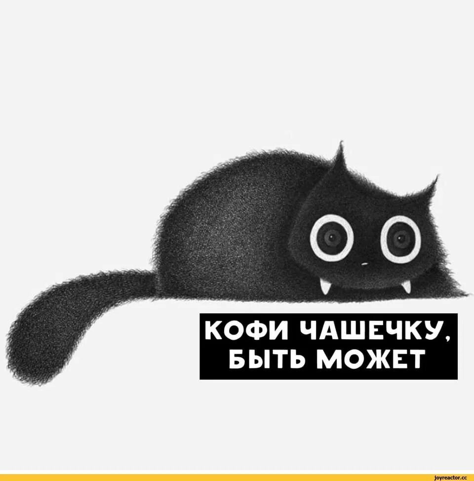 Кофе кот мем. Кофий кот. коты и кофе мемы. котик с кофе мем. хочу кофий кот мем.