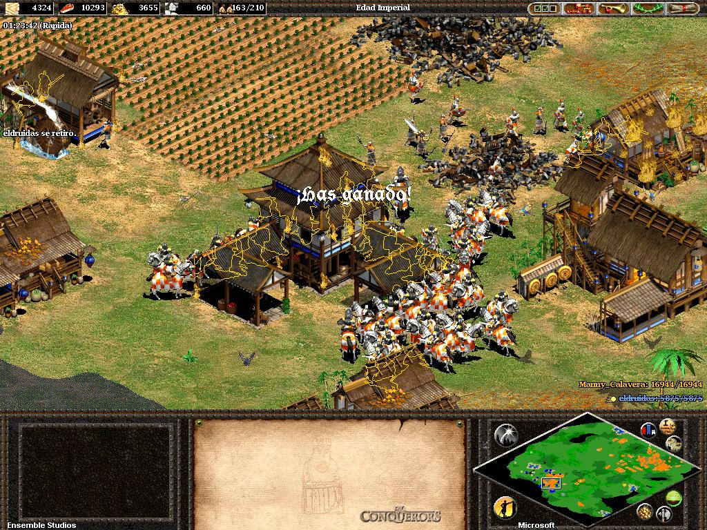 Age of conquerors. Age of Empires: Conquests of the ages. Age of Empires II the Conquerors. Age of Empires II the Conquerors Ensemble Studios. Age of Empires Final Conquest.