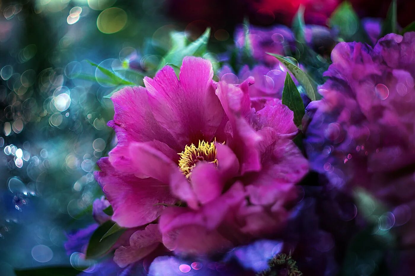 "Сказочный цветок"Дианы Эловой.. Яркие цветы. Волшебный цветок. Красивые цветы. Яркие цветы сказочные
