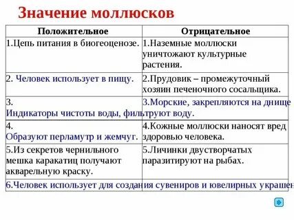 Роль моллюсков в жизни человека