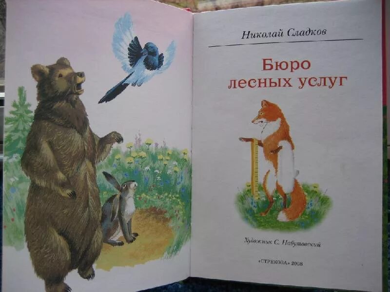 Сладков рассказы о животных. Бюро лесных услуг николай сладков. сладков николай иванович бюро лесных услуг. сладков бюро лесных услуг иллюстрации. сказка сладкова бюро лесных услуг.