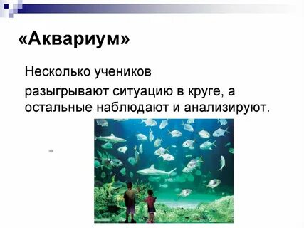 Аквариум интерактивный метод