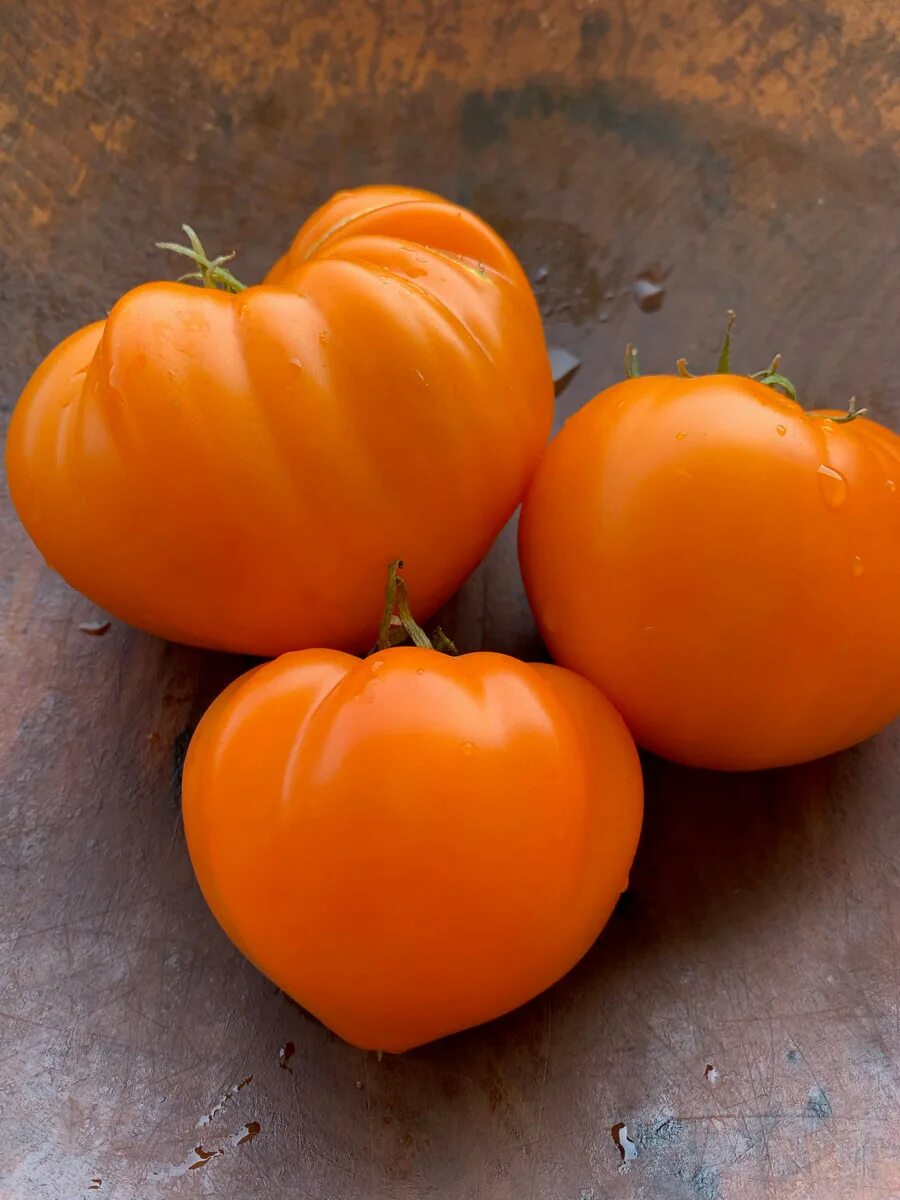 Сорт томата оранжевая клубника. Томат Orange Heirloom. Томат сердце Ашхабада. Томаты оранжевые сердцевидные. Томат сердцевидный.