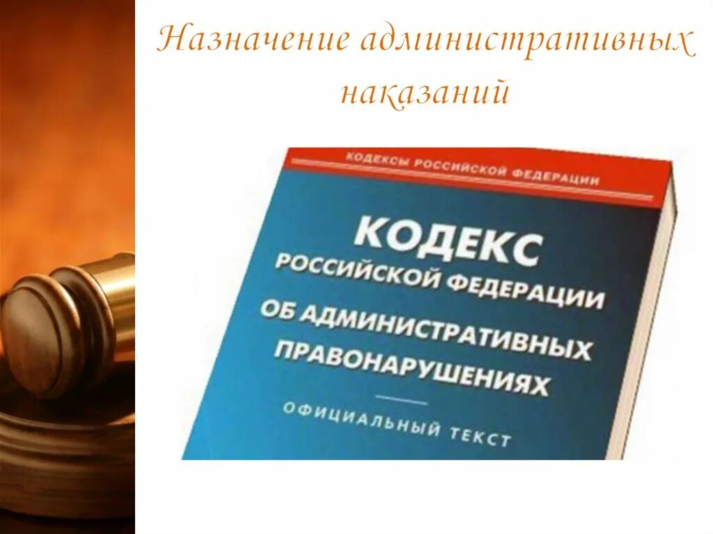 Какое административное наказание может быть назначено