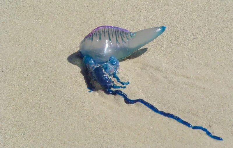 Beyond ресорт ката тайланд. Пхукет горящий тур. Тайланд экскурсии. Нейчерал парк паттайя. Туризм и путешествия реклама.