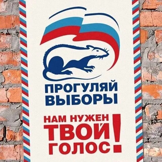 Хочу идти на выборы. Хочу идти на выборы. А ты выполнил свой гражданский долг. Мораль моральный выбор. Пойдем на выборы.