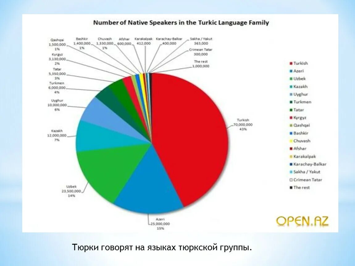 Тюркские языки языковая группа