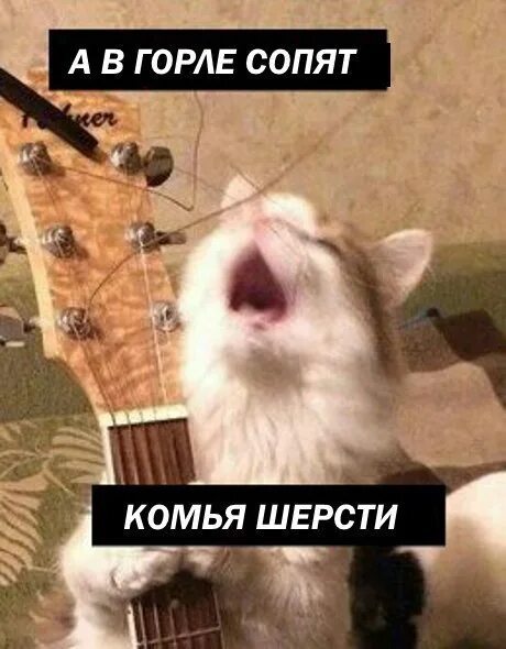 Что значит сопеть