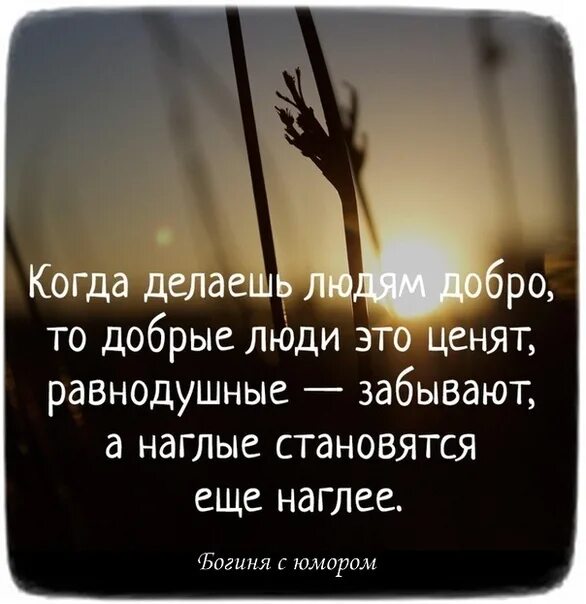 Чем больше сделать человеку добра. Люди забывают добро. Когда делаешь людям добро. Добро забывается быстро. Когда делаешь людям добро то добрые люди это.