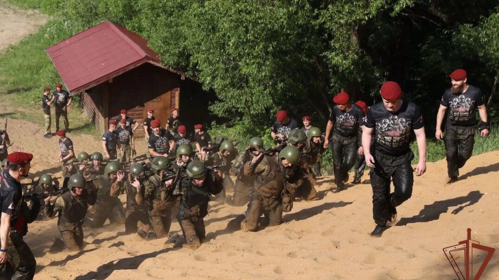 Сдача краповых. Сдача краповых