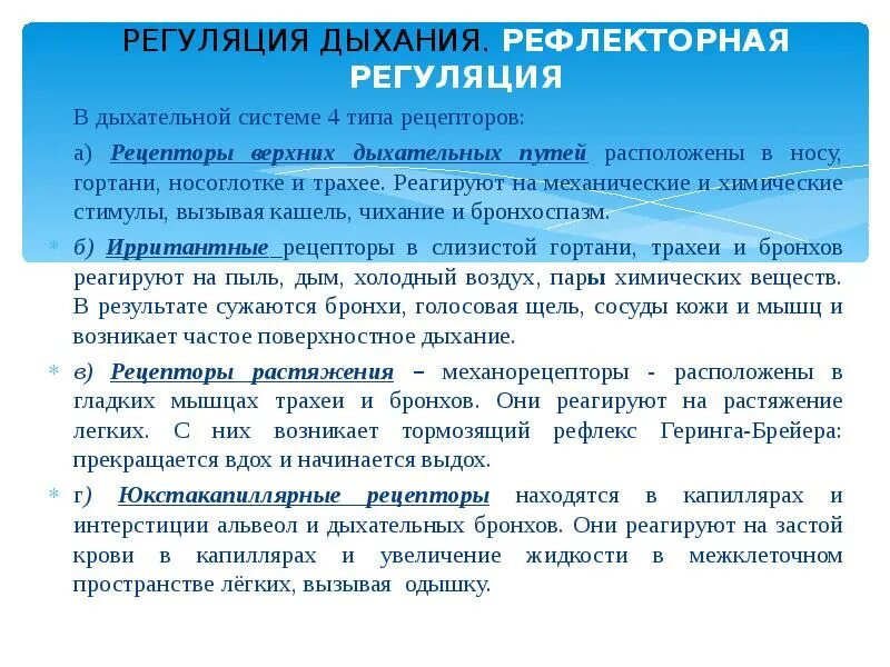 Регуляция органов дыхания. Рецепторы дыхательной системы. Виды рецепторов дыхания. Регуляция дыхания рецепторы.