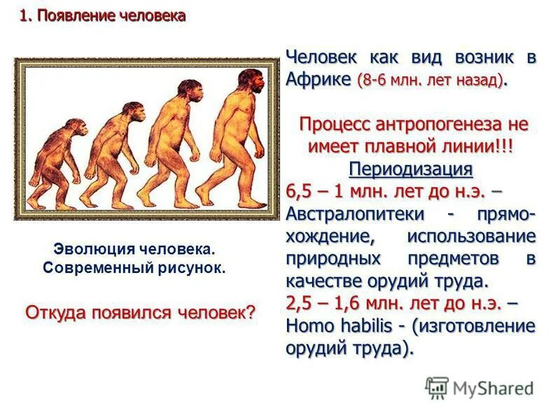 В 2017 году появление. Как появился человек. Первые люди появились. Откуда появились люди на земле. Возникновение человека на земле.