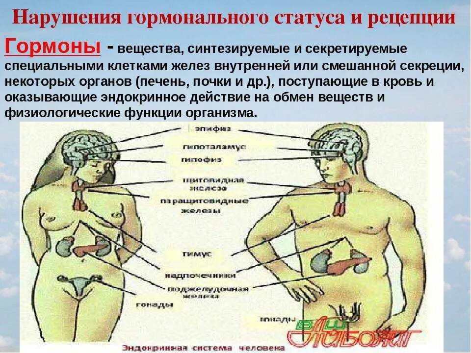 Проблемы гормонального сбоя. Проблемы гормонального сбоя. Гормональный сбой у подростков. Гормональный фон. Проблемы гормонального сбоя.