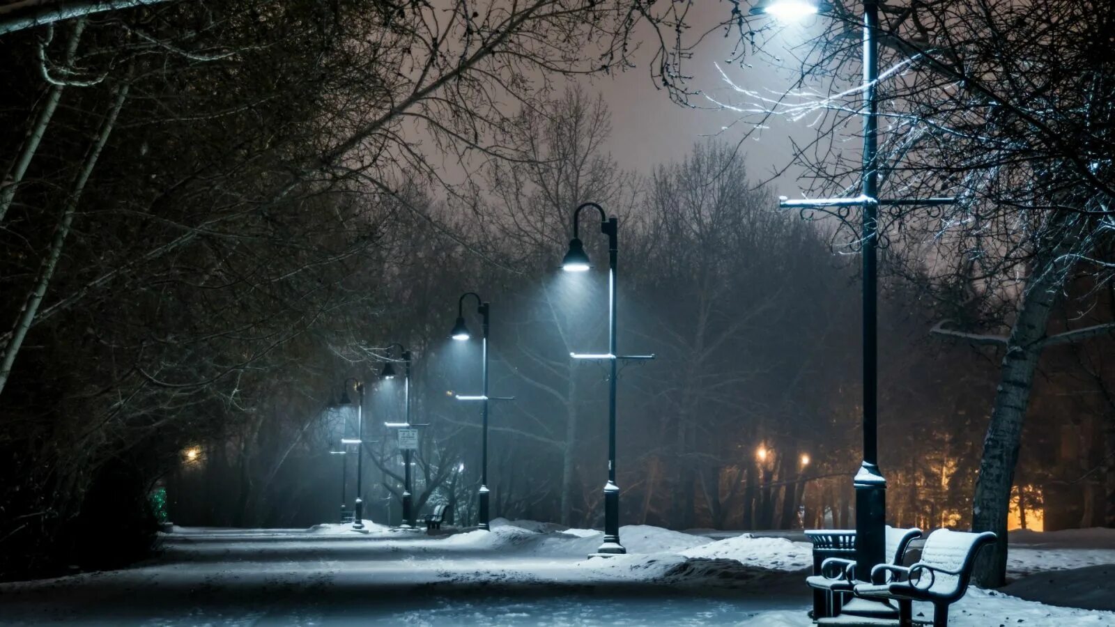 Фонари холодный свет. Зима в городе. Зимняя ночь. Зимний парк ночью. Зима. К вечеру.