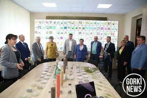 Лидер года бел