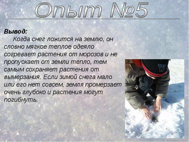 В сугробе тепло снег один. Вывод на тему снег. Вывод 1 снег. Что такое снег вывод. На земле снежок лежит.