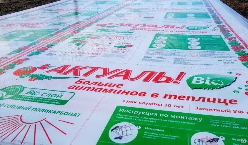 Сотовый поликарбонат Actual 6мм прозрачный 2,10х12,0, цена в Ростове-на-Дону от 