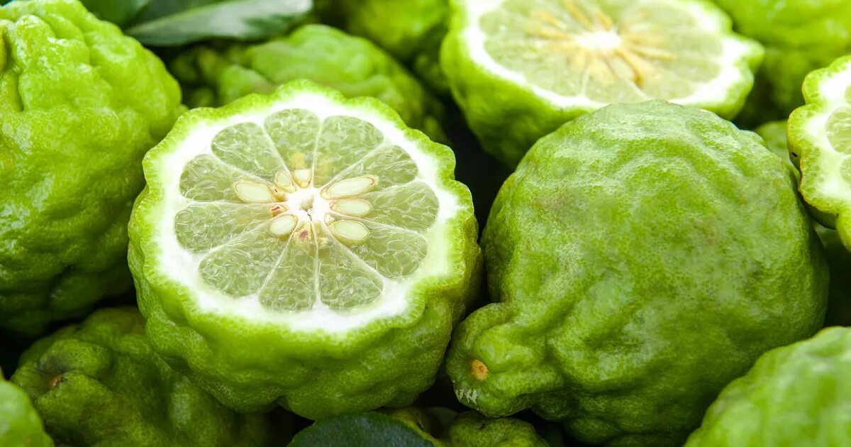 Растения цитрусовые бергамот. Где растет бергамот. Бергамот цветение цитрус. Бергамот дерево. Где растет бергамот.