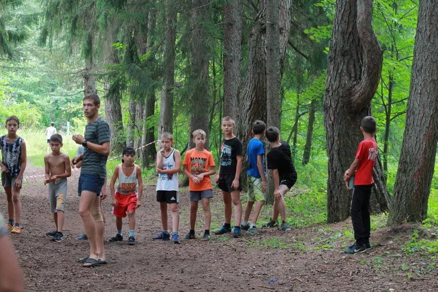 Лагерь сокол белгород. Спортивный лагерь сокол благовещенский район. Лагерь сокол ульяновск. Лагерь сокол ульяновск. Лагерь сокол калужская область.