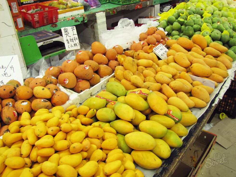 как выбрать спелый манго. спелый плод манго. разное манго. цвет спелого манго. какой манго покупать.