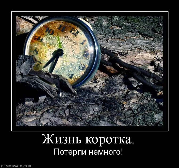Жизнь зря