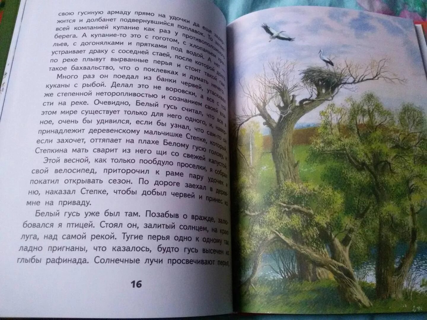 Научно популярные литературные произведения о живой природе. Живое пламя Носов иллюстрации. Носов живое пламя илл. Носов живое пламя сколько страниц. Иллюстрация к рассказу живое пламя.