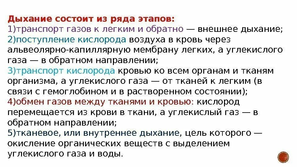 Внутренне дыхание физиология. Этапы дыхания физиология. Дыхание состоит из двух этапов:. Внешнее дыхание состоит из.