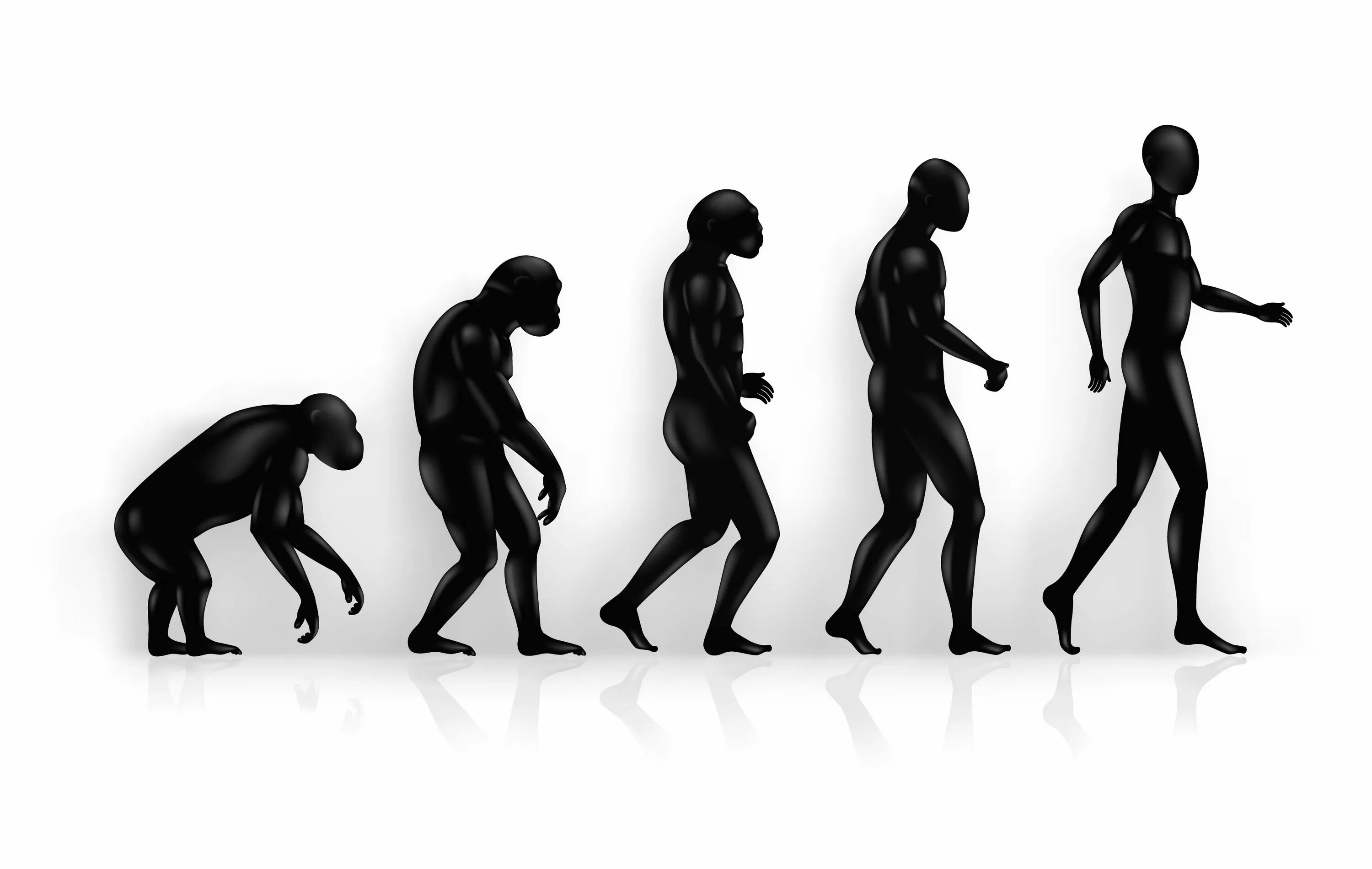 Жизни путем эволюции. Эволюция человека. От обезьяны к человеку. Эволюция обезьяны. Эволюция иллюстрация.