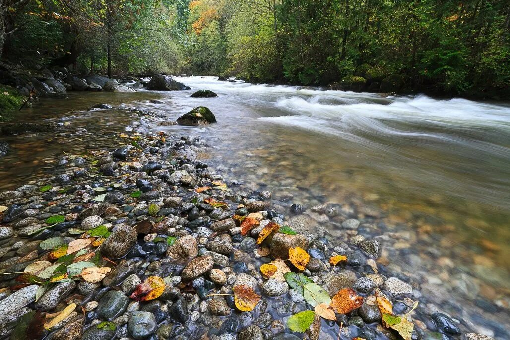 Слушать течет река бежит река. Камушки в речке. А по камушкам речка. Река камушки. Река по камушкам.