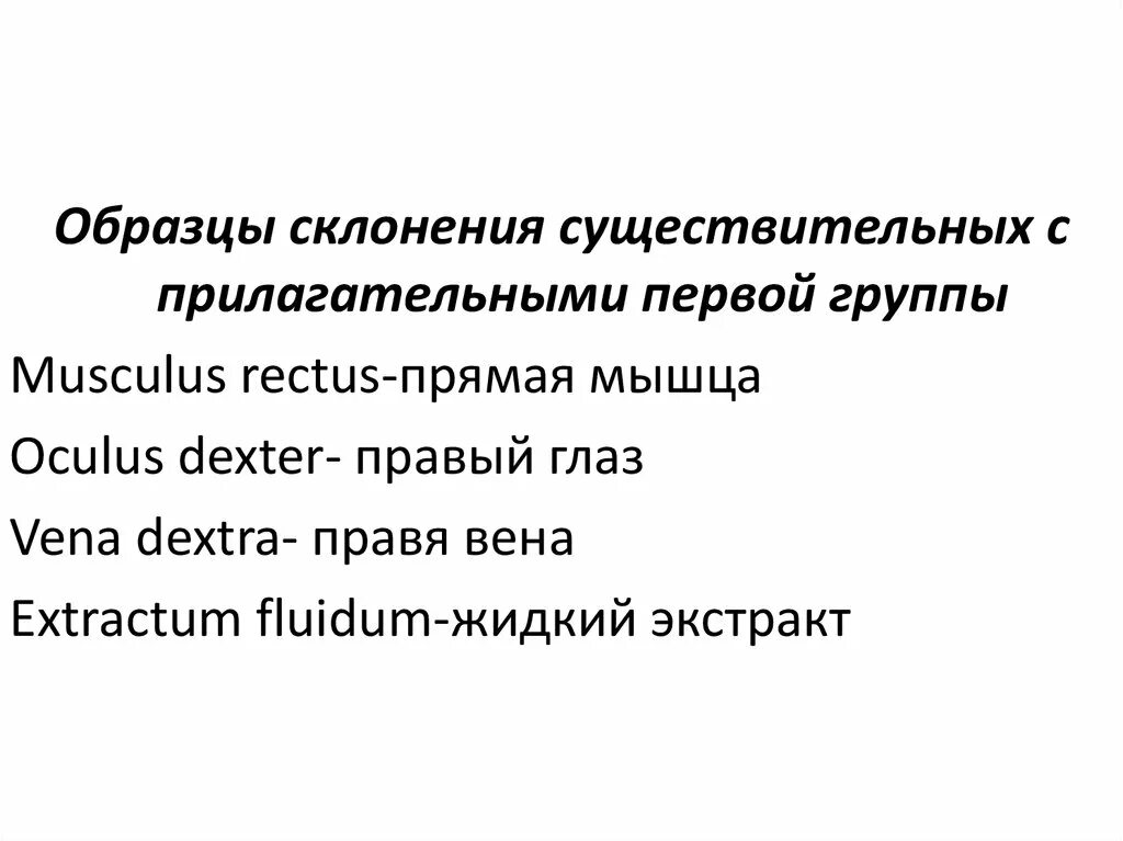 Прилагательные 1 группы в латинском языке. Musculus склонение латынь. Прилагательные первой группы латынь. Musculus rectus просклонять. Прилагательные первой группы