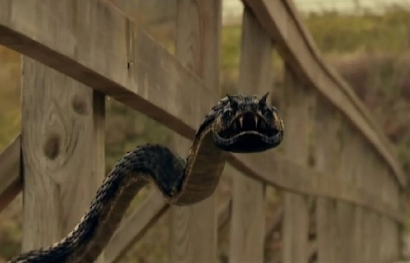 нагин: женщина-змея фильм 2010. фильм гадюка 2001. змея анаконда 2 охота за проклятой. анаконда фильм 1997 змея. ужас про змеи.