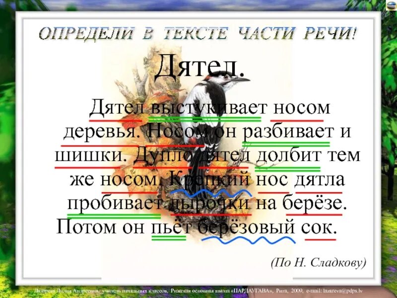 Стучит клювом падеж. Дятел на Березе. Дятел долбит дерево крепким клювом части речи. Дятел пробил в коре. Дятла часть речи.