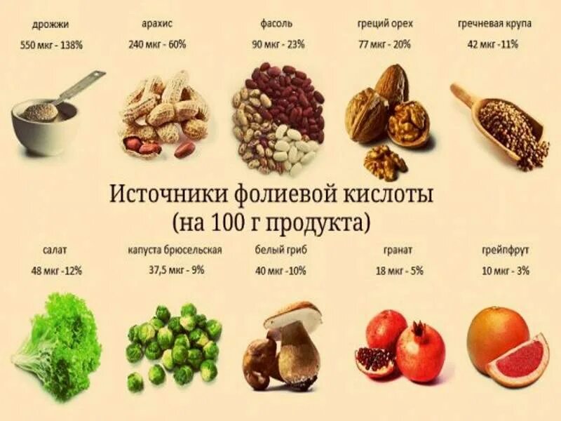 Витамин б9 фолиевая кислота продукты. Продукты богатые витамином в9 фолиевая кислота. Фолиевая кислота и витамин в9 продукты. Продукты богатые фолиевой кислотой и витамином в9.