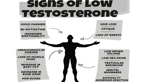 ...it will inevitably lead to a decrease in endogenous testosterone secreti...