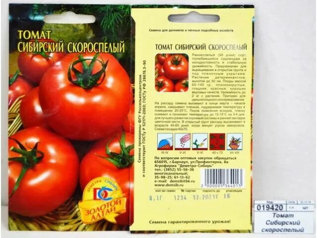 Описание и фото помидор сибирский
