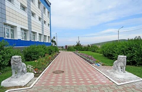 Томари сахалинской
