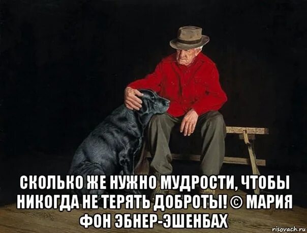 Сколько же нужно мудрости чтобы никогда не терять доброты. Сколько нужно мудрости чтобы не терять доброты. Сколько же нужно мудрости чтобы никогда не. Сколько же нужно мудрости. Никогда не приходит одна