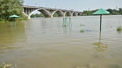 Бийск уровень