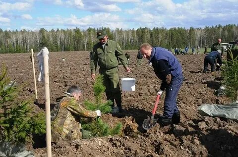 На объектах защиты граничащих с лесничествами