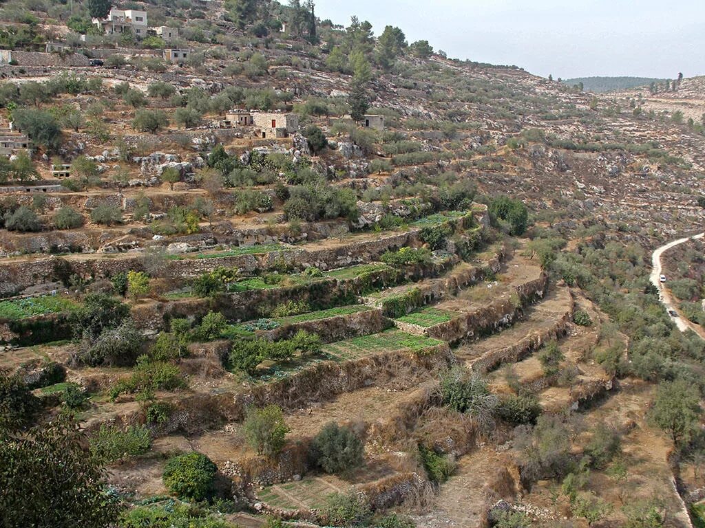 Ancient irrigated Agriculture. Battir. Battir bin QAXVAXONASI. Загадки террас