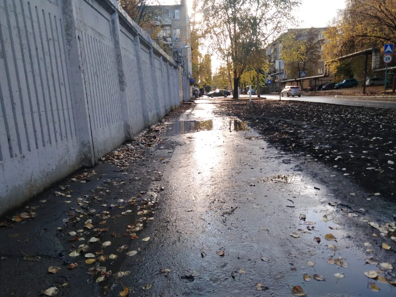 Нет воды саратов сегодня почему. Тополиные сережки на асфальте. Ливнёвка в Бор асфальте Юре Россия желтого цвета. Состояние тротуаров в Саратове на сегодня. Лужа на Пономарева Саратов.