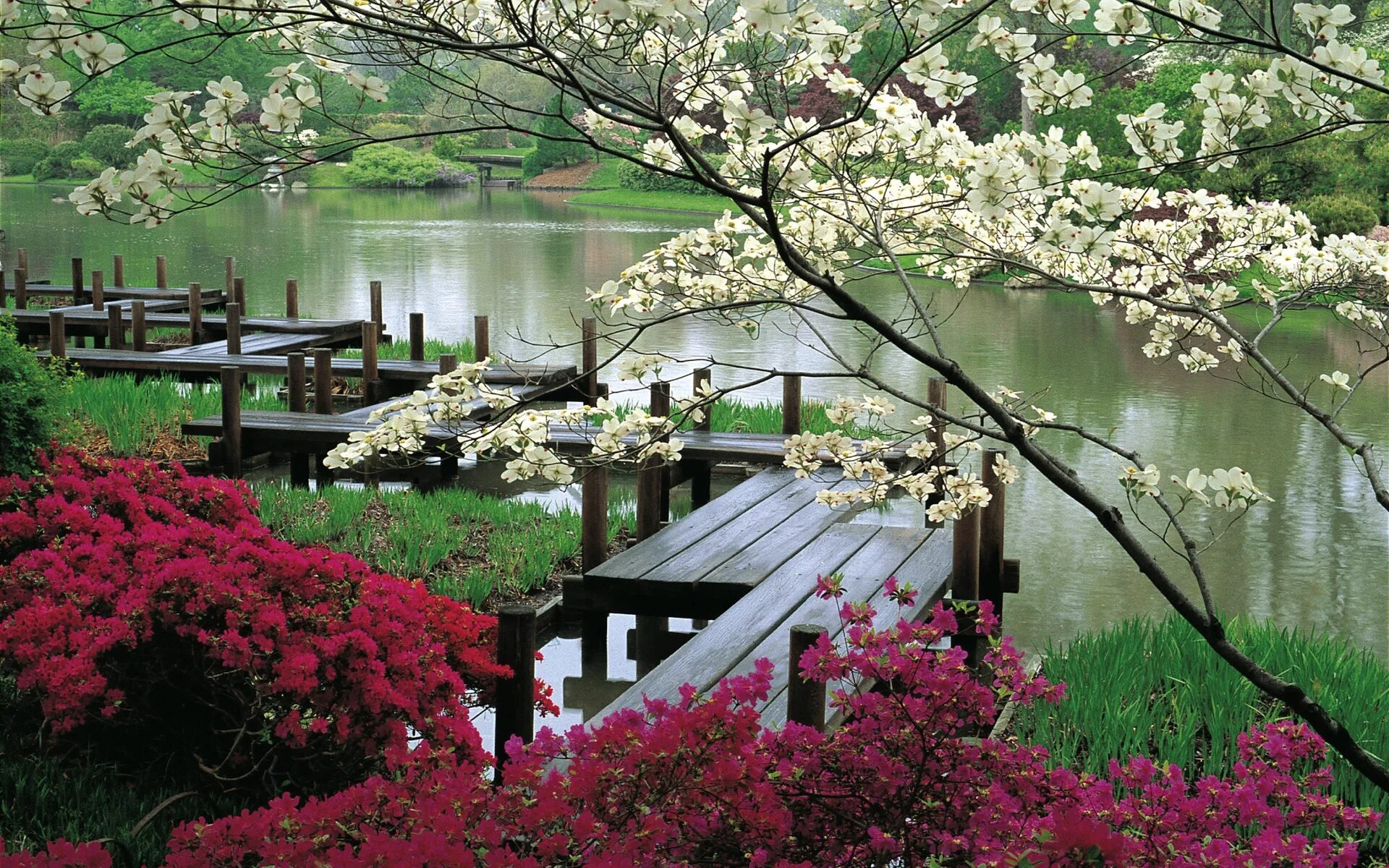 Японский мостик Яцухаси. Японский сад зигзагообразный мост. Яцухаси в японском саду. Сад Кавати Фудзи.
