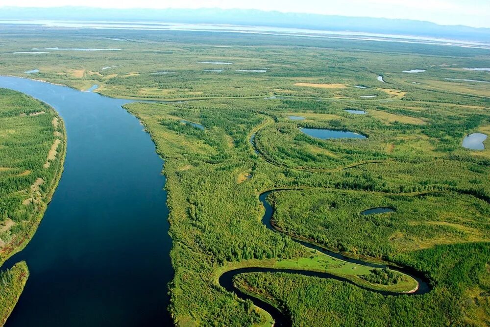 Река Устье Дельта Лена. Устье реки Лена. Реки России Лена. Лена река самая длинная река в России.