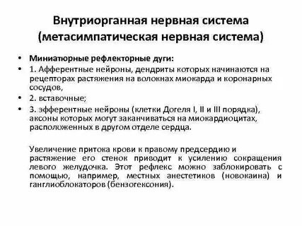 Метасимпатический отдел вегетативной нервной системы