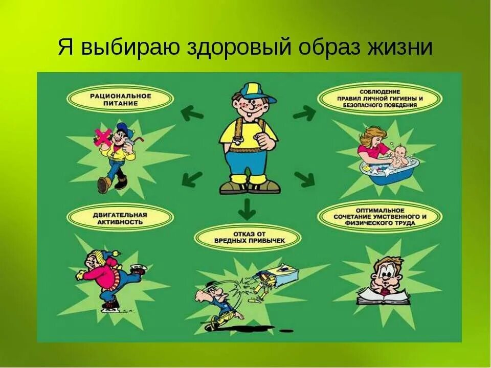 Зож первые
