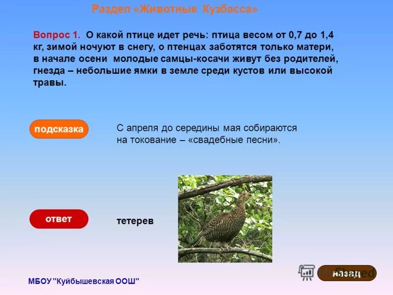 о какой птице идет речь. о какой птице идет речь. о какой птице идет речь. какой птице идет. какой птице идет.