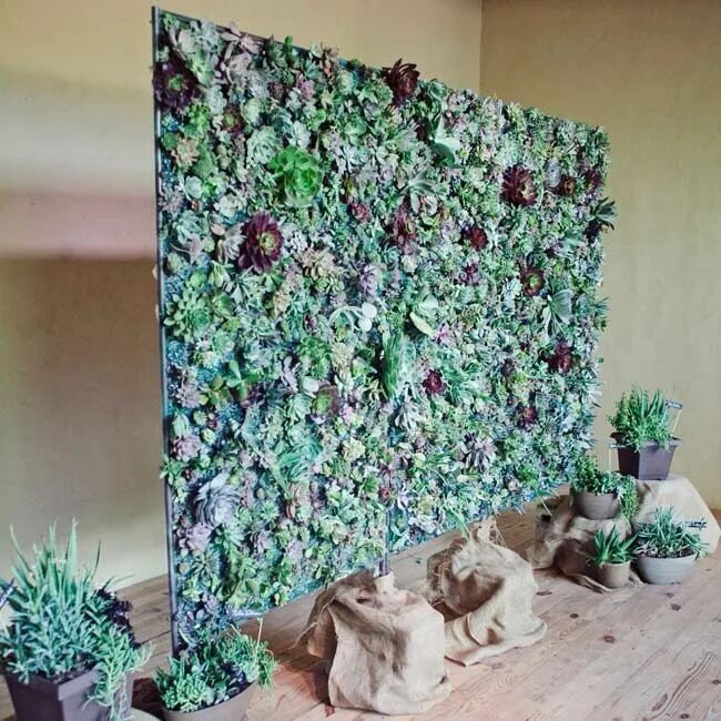 DIY Wax Paper Backdrop Affordable diy wedding, Diy wedding, Cheap wedding decora