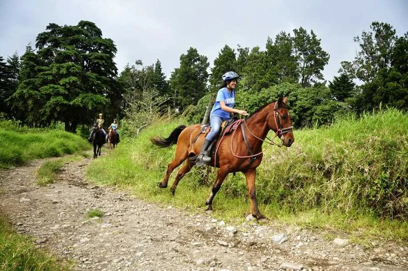 Horseback riding photo. Horse riding Германия парк. Двин райдинг. Horse riding Deluxe Pegasus Islands.